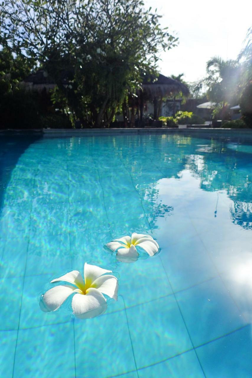 Liquid Dive Resort Dauin Kültér fotó
