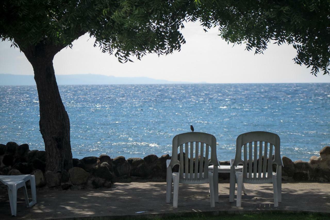Liquid Dive Resort Dauin Kültér fotó