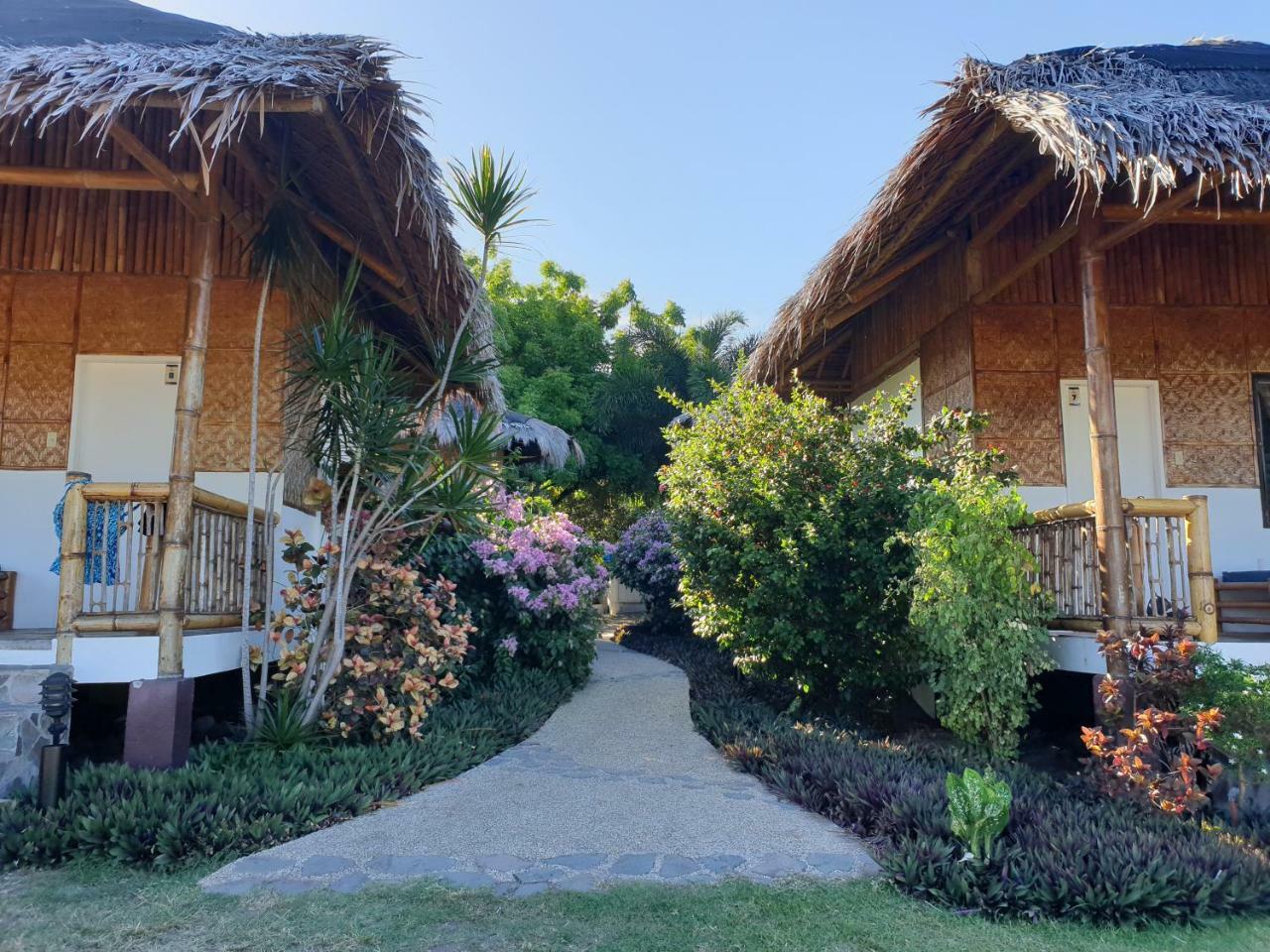 Liquid Dive Resort Dauin Kültér fotó